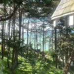 Vue Panoramique En Baie De Somme