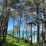 فيلة Vue Panoramique En Baie De Somme أولت