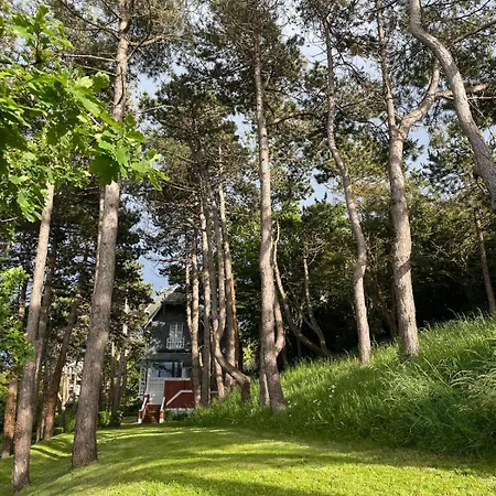 Vue Panoramique En Baie De Somme Villa Ault